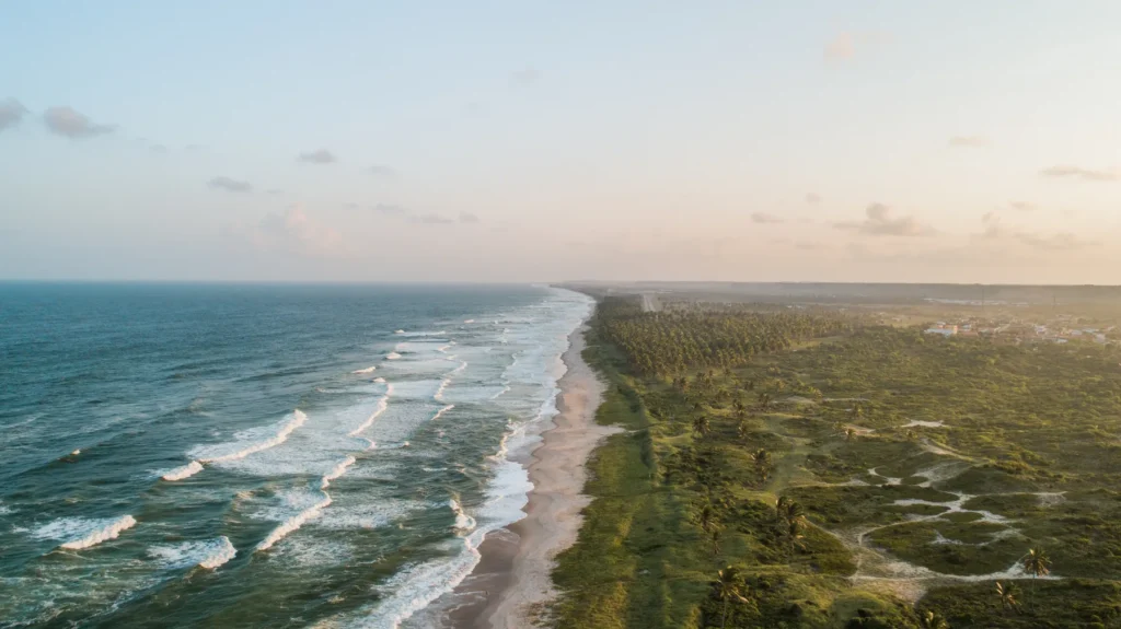 Paisagem do litoral alagoano encerrando a página de sustentabilidade.