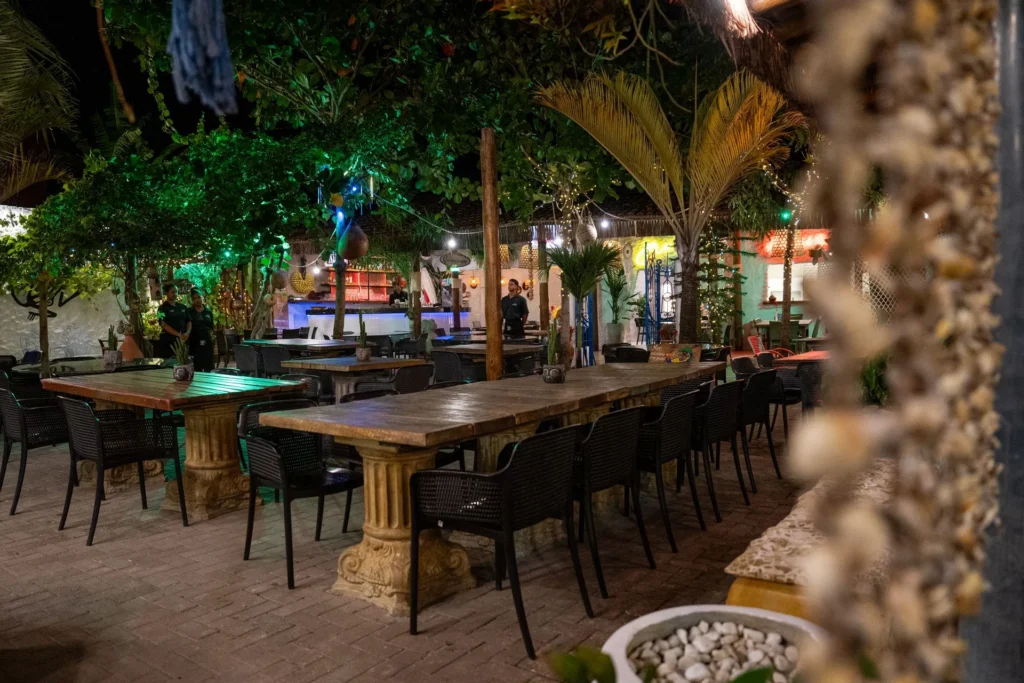 frances-bar-noite